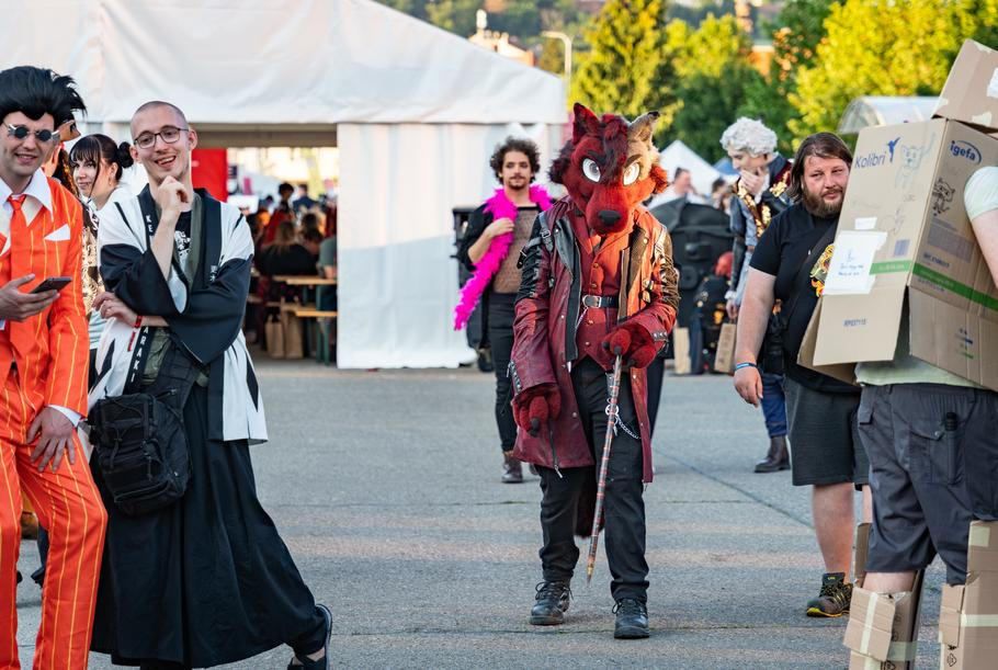 Furries – subkultura fanoušků antropomorfních zvířat, kteří se na akcích jako Animefest často oblékají do kostýmů s obří liščí nebo vlčí hlavou, pestrobarevnou srstí a ocasem. Letos zmátli odpůrce sudetských Němců.