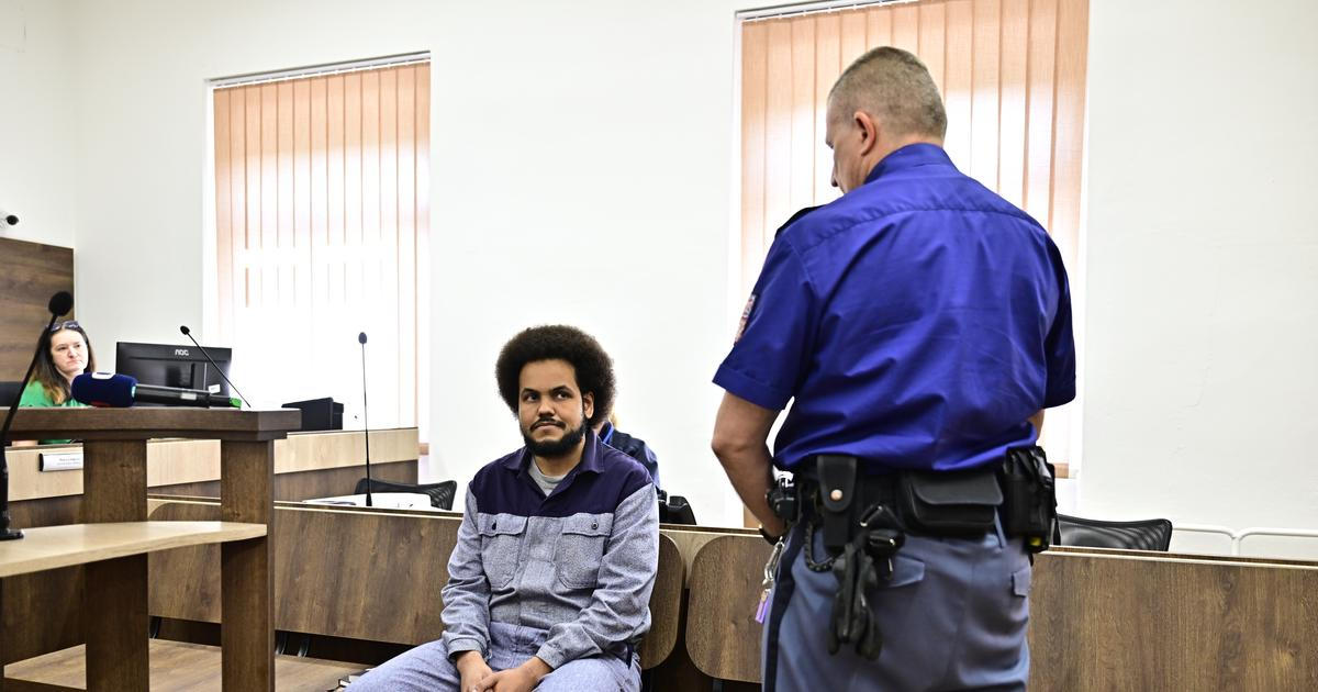 Žalobce navrhl vyhovět žádosti Feriho o podmíněné propuštění z vězení