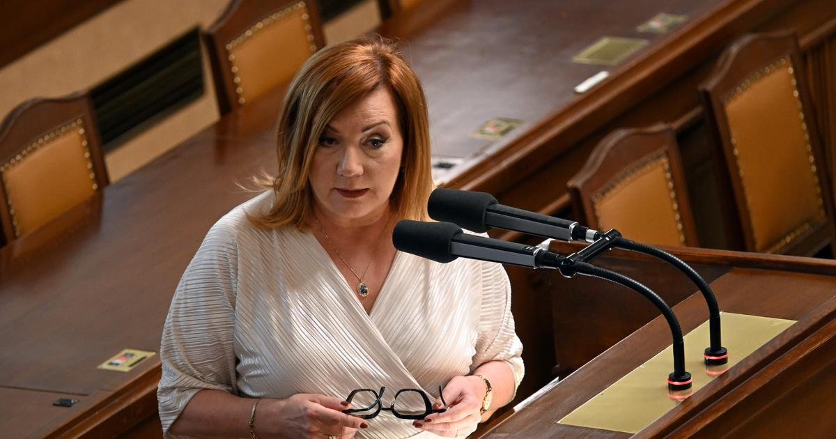 Schillerová dráždí pumpaře. Pohlídám si ceny benzínu i po skončení regulace, vzkazuje