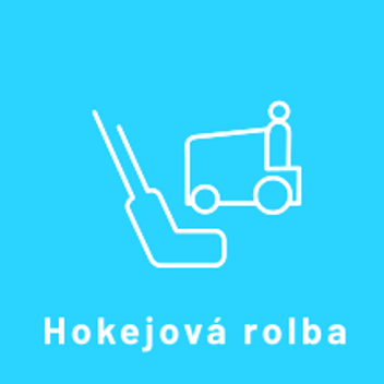 Ikona hry Hokejová rolba