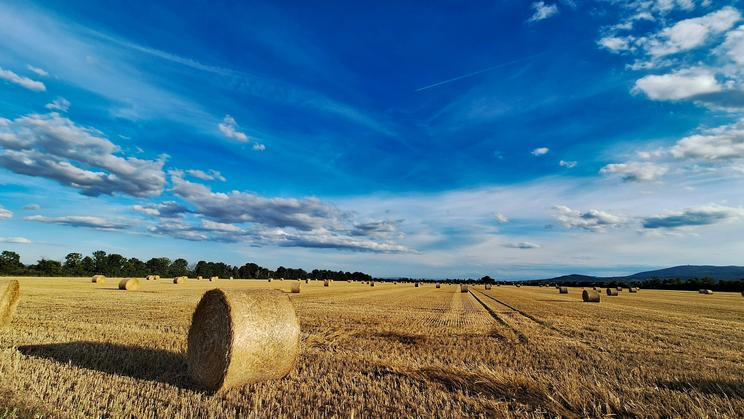 Klimatický jev El Niňo vznikající tisíce kilometrů od Evropy dokáže ovlivnit počasí na celé planetě - od povodní a požárů až po rekordní vedra.