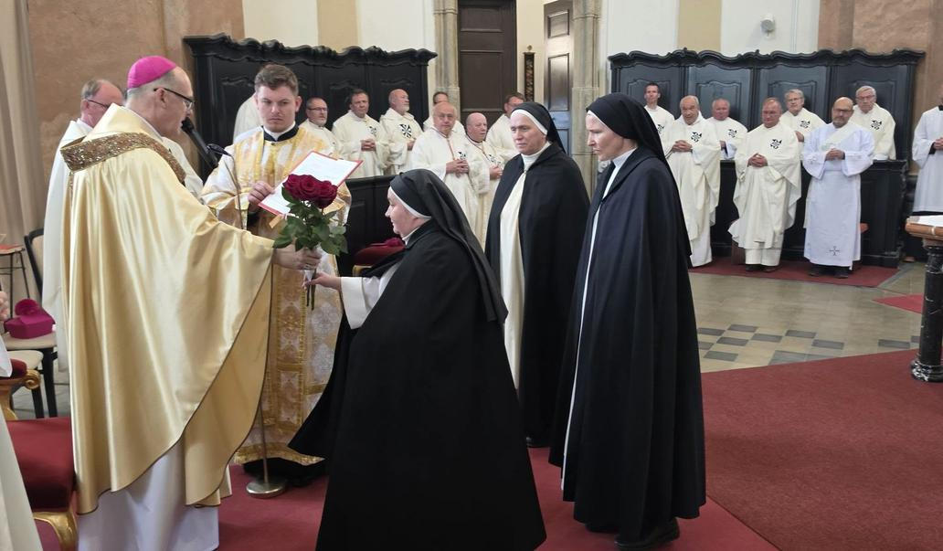 Svatá Zdislava je uctívaná jako patronka rodin, kongregace sester dominikánek, ale také Libereckého kraje, litoměřické diecéze a českého národa.