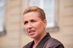 Denmark's acting Prime Minister Frederiksen meets members of the media after her visit to the King at Amalienborg Palace in Copenhagen