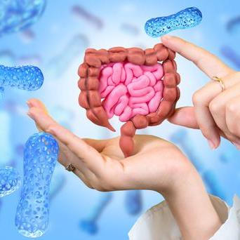 Mikrobiom