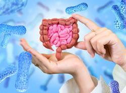 Mikrobiom
