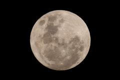 Chile Blue-Micromoon