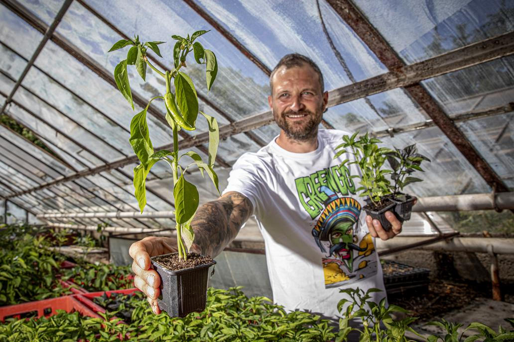 Chilli právě teď má raději spíš chladnější počasí kolem 20 stupňů, horko ocení až v létě. Počasí každoročně zásadně ovlivní Lukášovu úrodu, na podzim sklízí 300–500 kg papriček.
