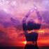 Horoskop