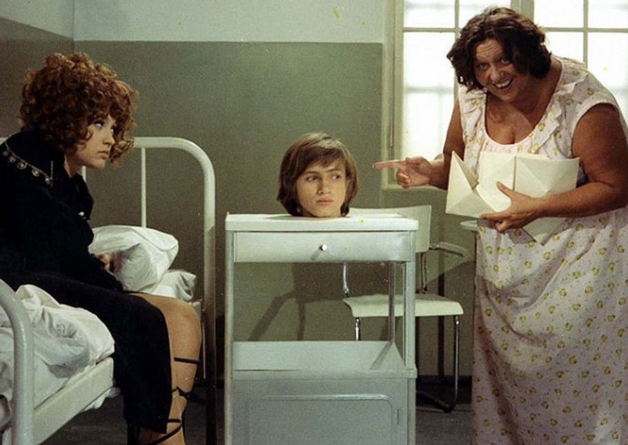 Jako pacientka psychiatrické léčebny s Petrou Černockou a Janem Hrušínským ve filmu Miloše Macourka a Václava Vorlíčka Dívka na koštěti (1971).  