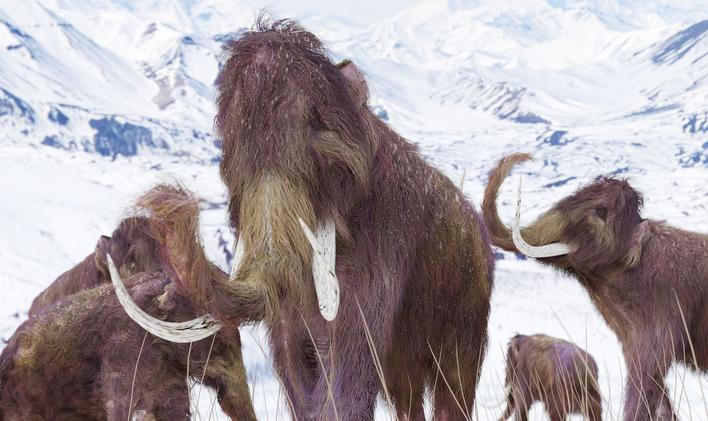 Mamut srstnatý