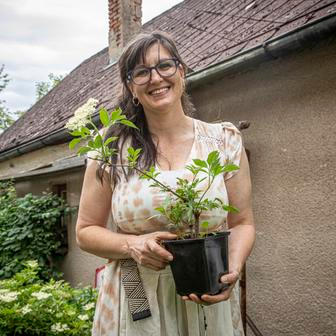 Rodinná bezová farma Křížov pod Blaníkem