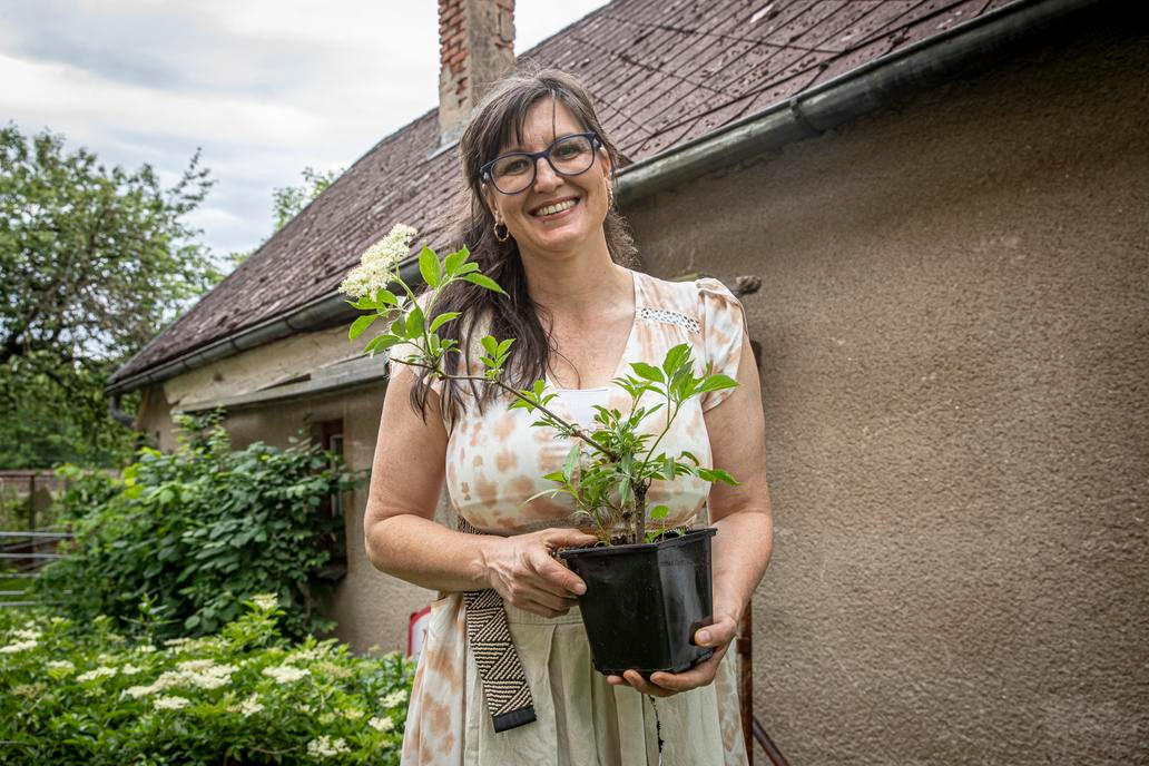 Rodinná bezová farma Křížov pod Blaníkem