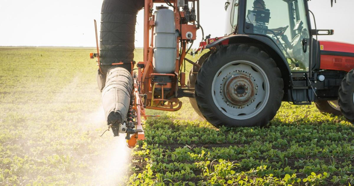 Pesticidy vědci poprvé spojili s rakovinou. Pro Česko mají ale nečekanou zprávu