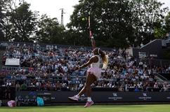 WTA 500 - Berlin Open