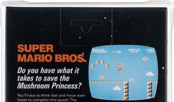 Super Mario Bros.