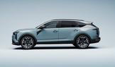 Dacia Striker