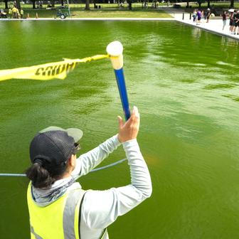 National Park Service workers clean algae from the Lincoln Memorial Reflecting Pool following the completion of recent renovations