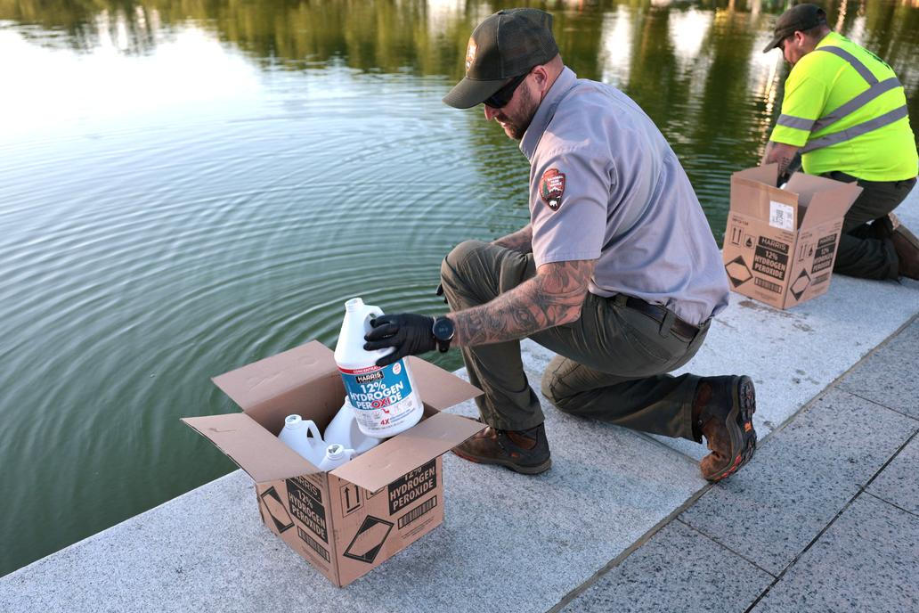 U.S. National Park Service workers dump bottles of hydrogen peroxide in the Lincoln Memorial Reflecting Pool in Washington