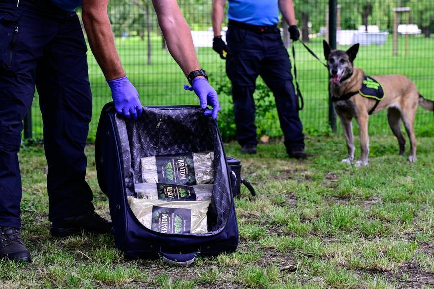 Celníci zajistili v provozovně v Libereckém kraji 45 kilogramů kratomu