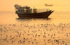 Vessels at the Strait of Hormuz, as seen from Musandam