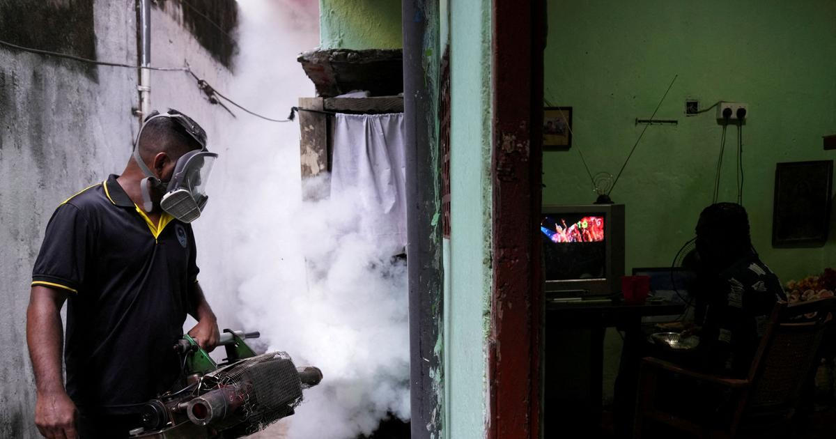 Úřady na Srí Lance hlásí nejhorší epidemii horečky dengue za poslední roky