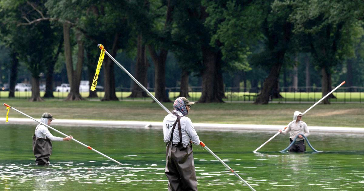 Pět lidí již bylo zatčeno pro podezření z poškození jezírka ve Washingtonu