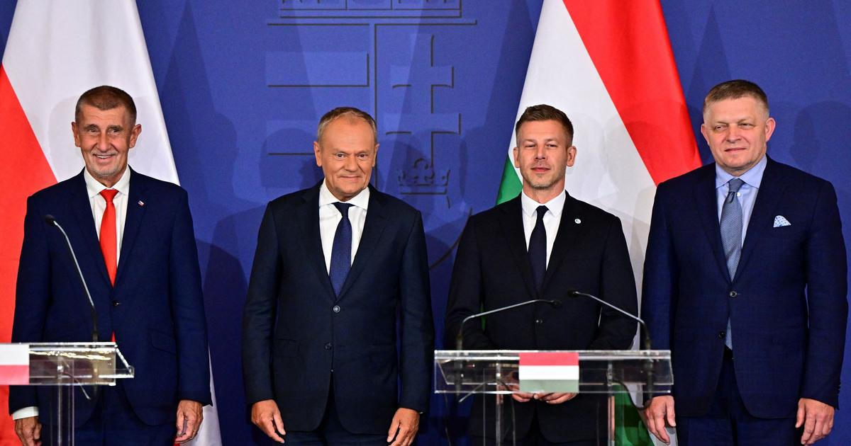 Po letech sporů je Visegrádská čtyřka zpět. Premiéři slibují užší spolupráci
