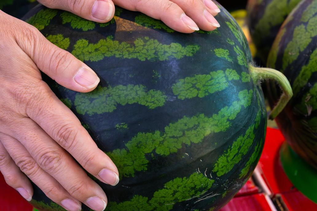 Stopka o zralosti melounu překvapivě hodně vypovídá. Meloun