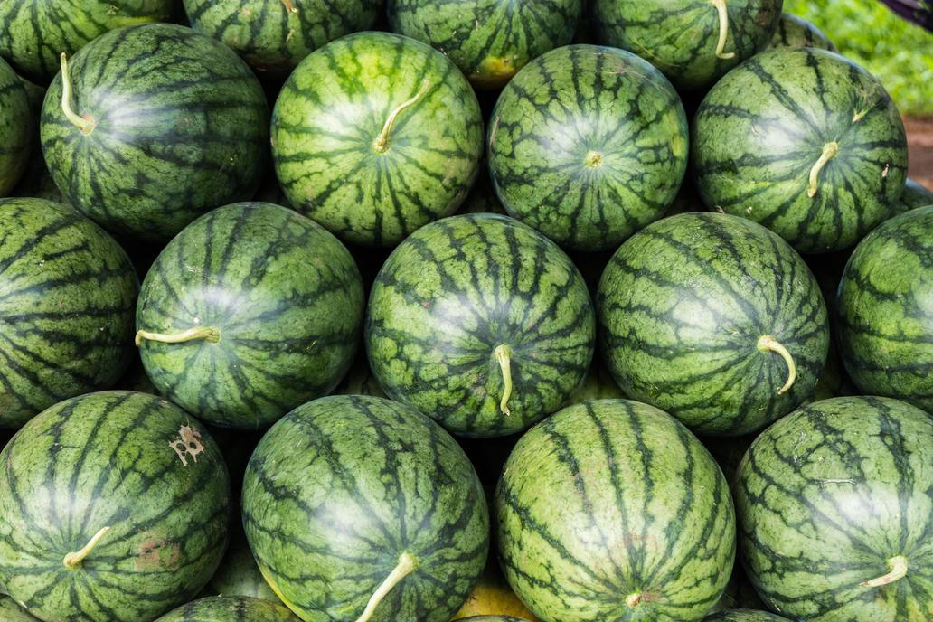 Je povrch matný nebo lesklý? I to je při výběru melounu rozhodující. Meloun