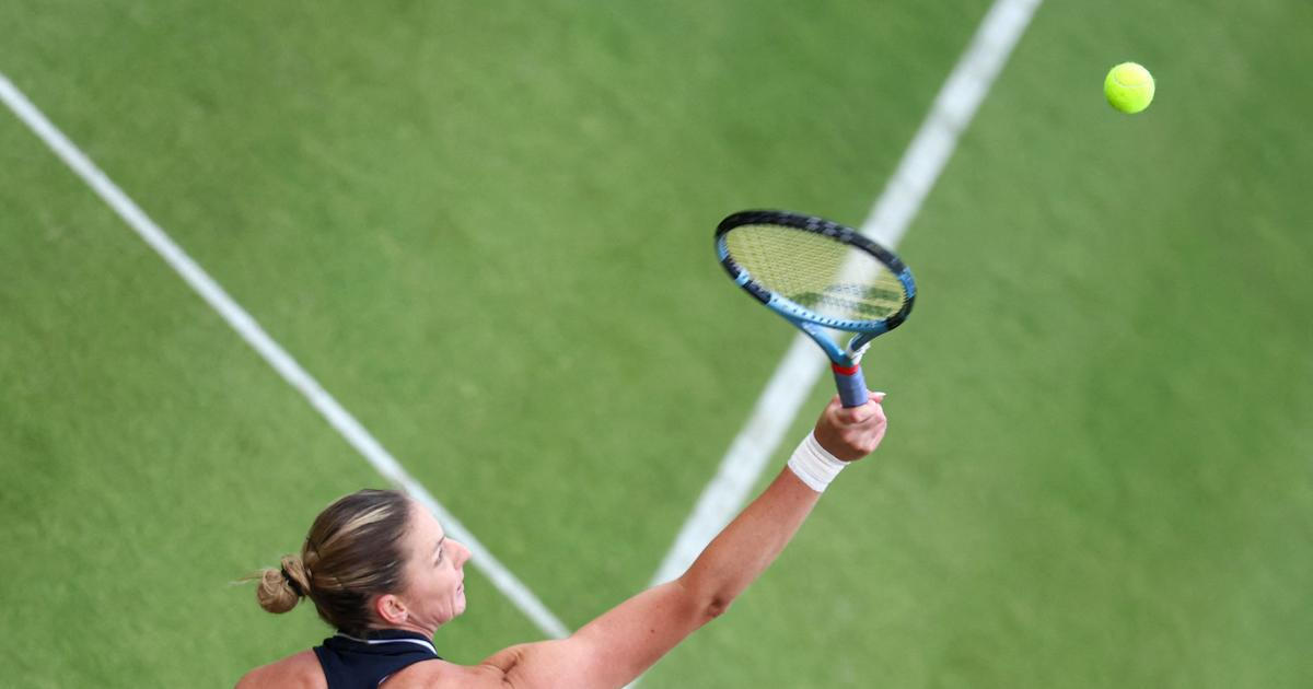 Drsný los Wimbledonu. České derby hned na úvod, Siniaková vyzve vítězku olympiády