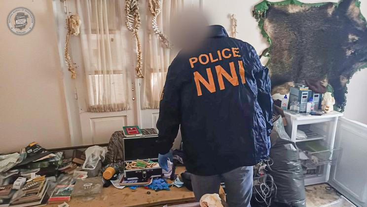 Při prohlídkách našli maďarští policisté systematicky budovanou sbírku.