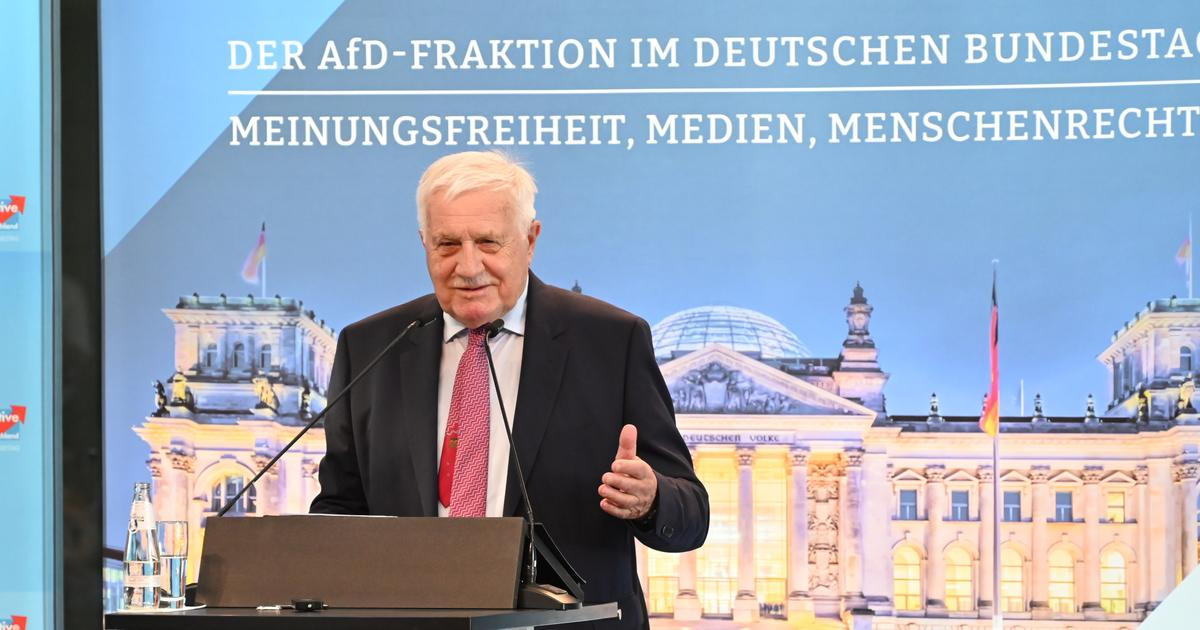 Klaus a Okamura sklidili ovace na konferenci AfD. Mluvili o démonizaci a vítězství ve volbách