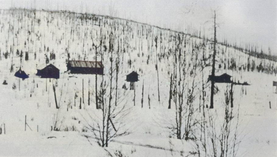 tunguska sibiř tunguzská událost