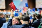 Německo, AFD, Alternativa pro Německo, Weidel. sjezd, Antifa, protest,  Generace Německo
