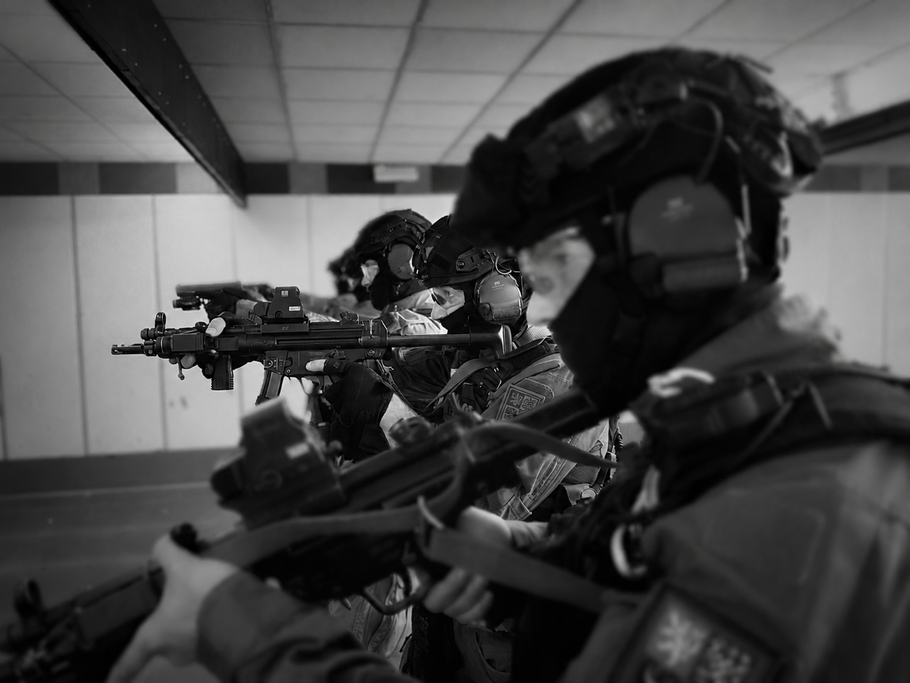 Speciální jednotka cizinecké policie, Letiště Václava Havla Praha
