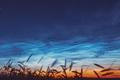 Night,Starry,Sky,With,Glowing,Stars,Above,Countryside,Landscape.,Noctilucent
