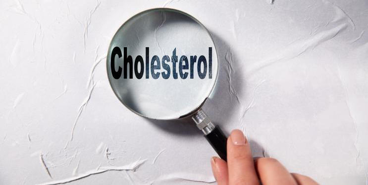 Cholesterol