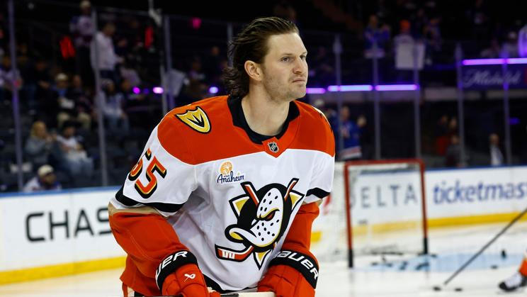 Ducks Rangers Hockey