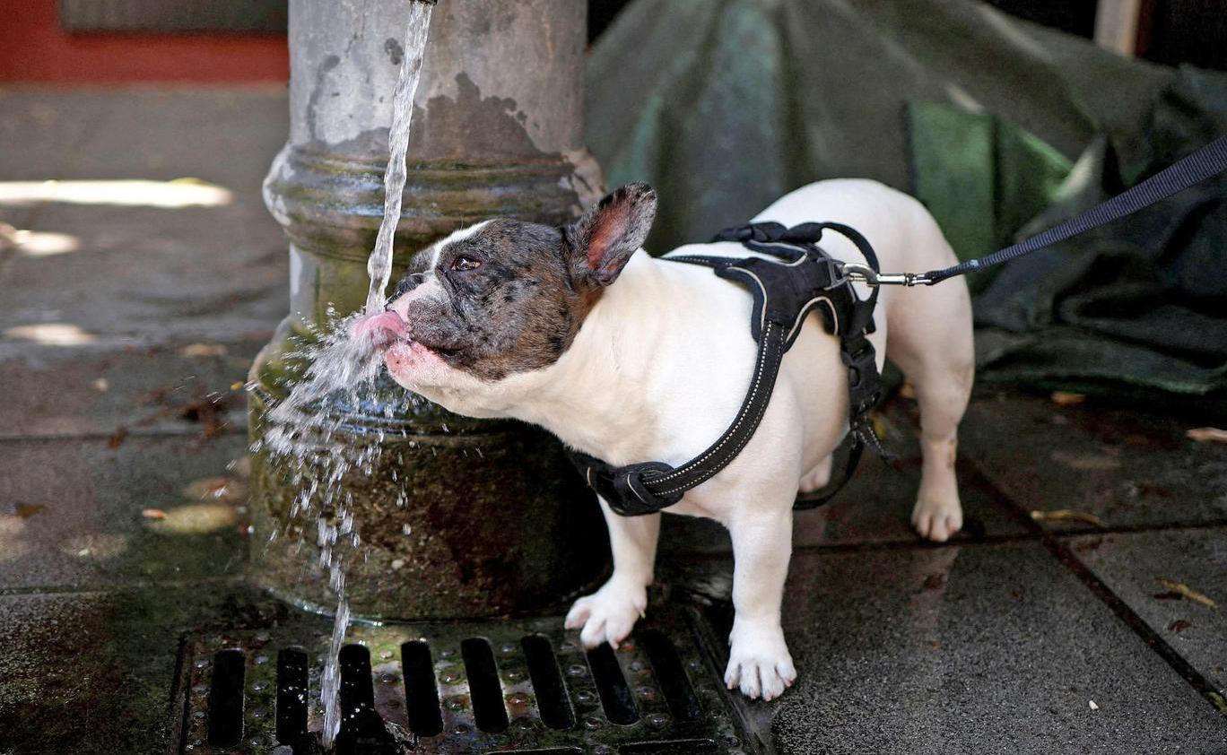 Heatwave grips Rome