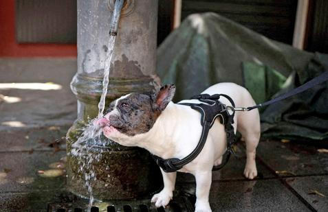 Heatwave grips Rome