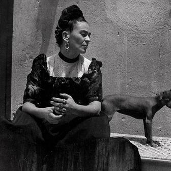 Lola Álvarez Bravo: Frida Kahlo, detail