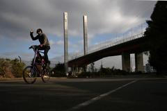 Police search for graffiti artist atop Melbourne's Bolte Bridge pylon