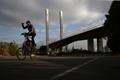 Police search for graffiti artist atop Melbourne's Bolte Bridge pylon