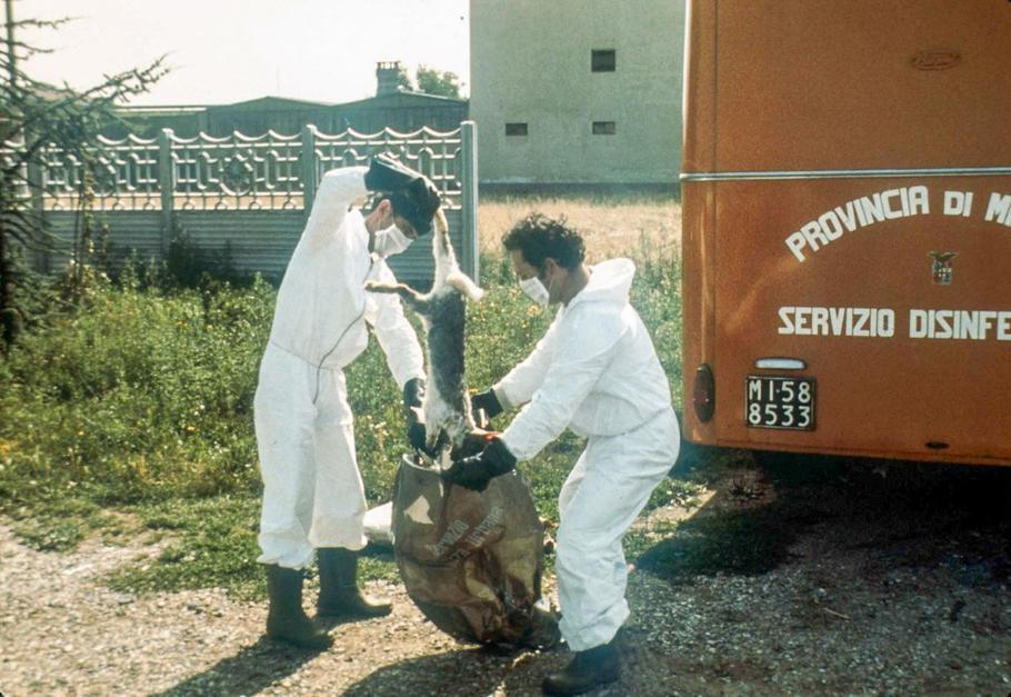 Pracovníci asanace v Sevesu sbírají uhynulá zvířata. Seveso 1976: – chemický Černobyl: 30 kg jedu a tváře poznamenané navždy, Magazín, codagalerie