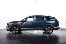 Dacia Striker
