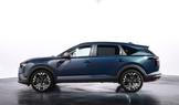Dacia Striker
