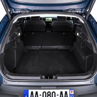 Dacia Striker