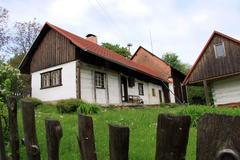 Boleslav ve filmu