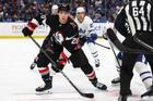 Maple Leafs Sabres Hockey