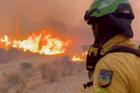 An emergency worker looks on during a wildfire in Almeria